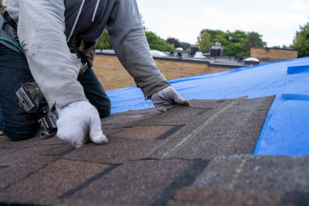 Sealant for Roof in Charlevoix, MI