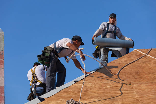 Best Metal Roofing Contractor  in Charlevoix, MI