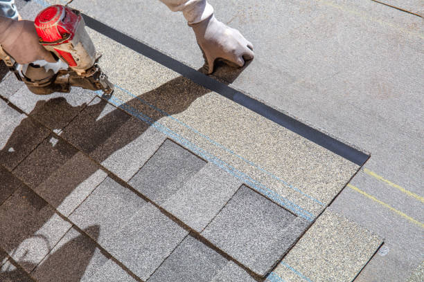 Best Roof Restoration Services  in Charlevoix, MI
