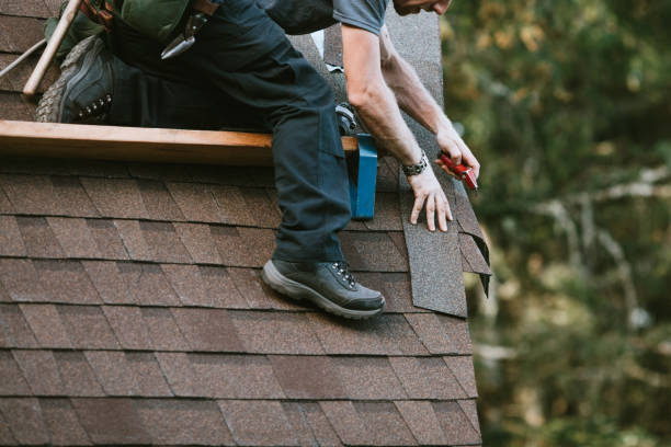 Best New Roof Installation  in Charlevoix, MI